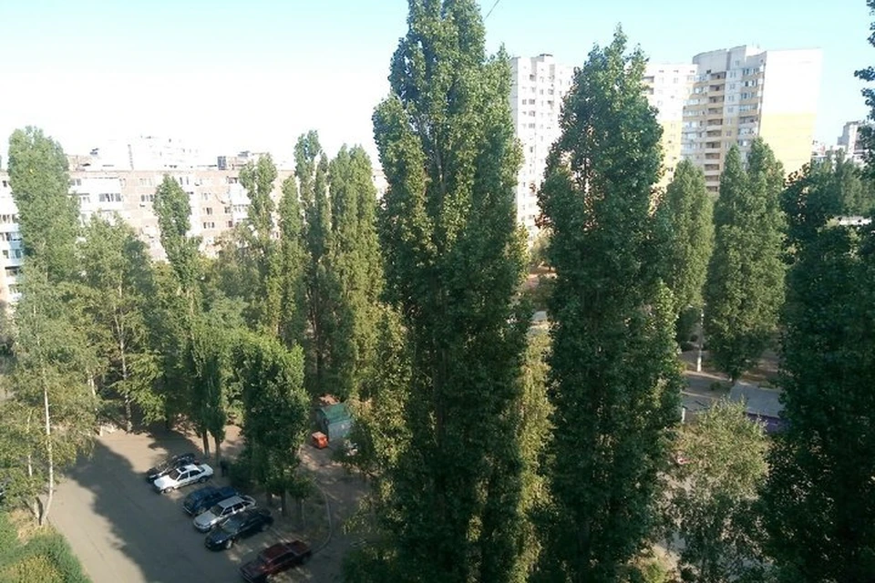 В предстоящие выходные в Воронеже будет стоять теплая солнечная погода.
