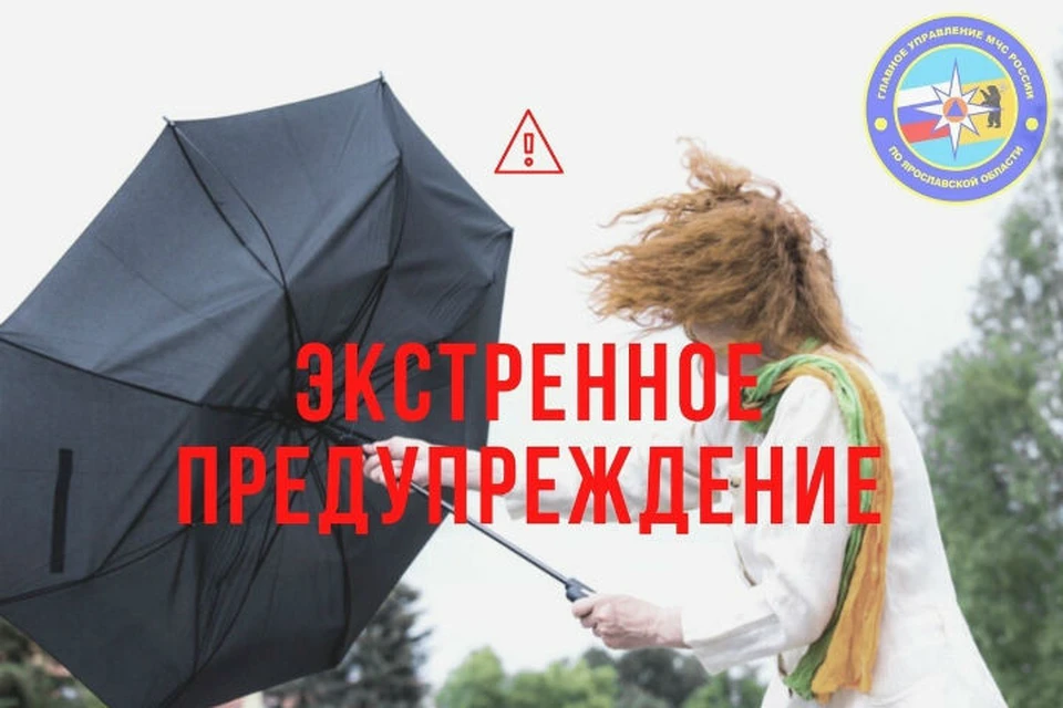 В Ярославской области ожидается сильный ветер