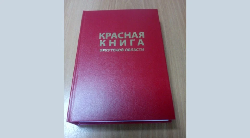 На 19 видов больше стало в Красной книге Иркутской области. Фото: с сайта "Заповедное Прибайкалье"