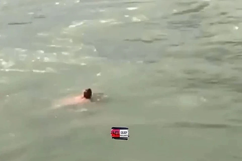Видео утонувший девушки. Утонула в Катуни. Туристка утонула в Катуни.