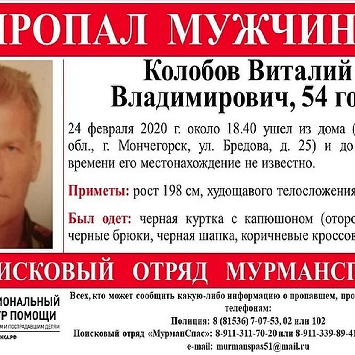 Тело погибшего под Мончегорском мужчины побывало в зубах диких зверей -  KP.RU