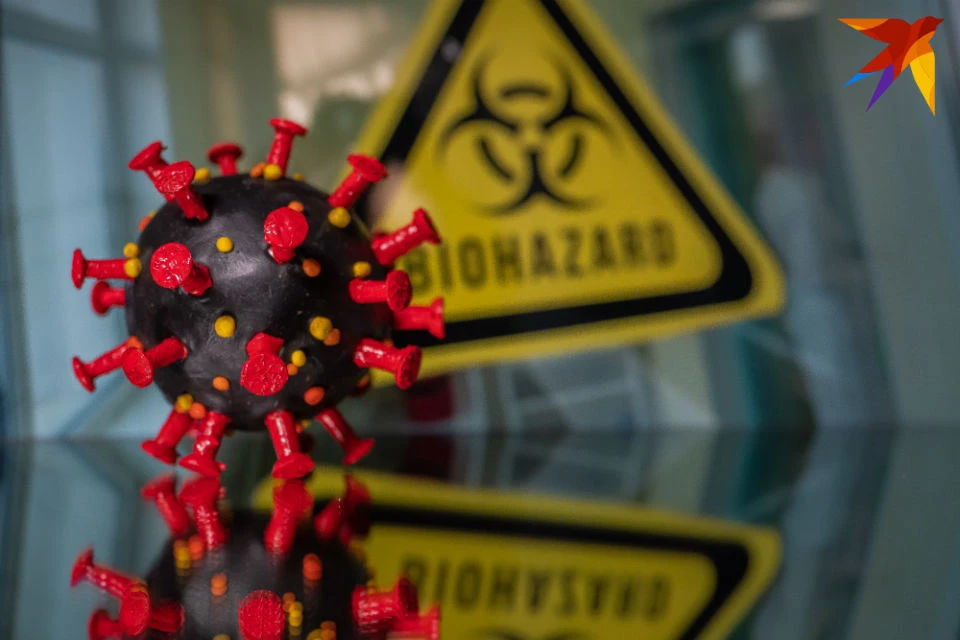 Число летальных случаев от коронавируса в Мурманской области уже составляет 205 человек.