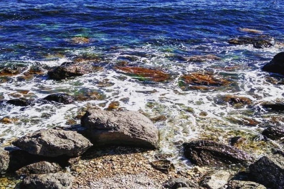 Какая вода в черном море в крыму. Черное море Крым. Ялта черное море вода. Вода теплая в море в сентябре. Море в Крыму сейчас.