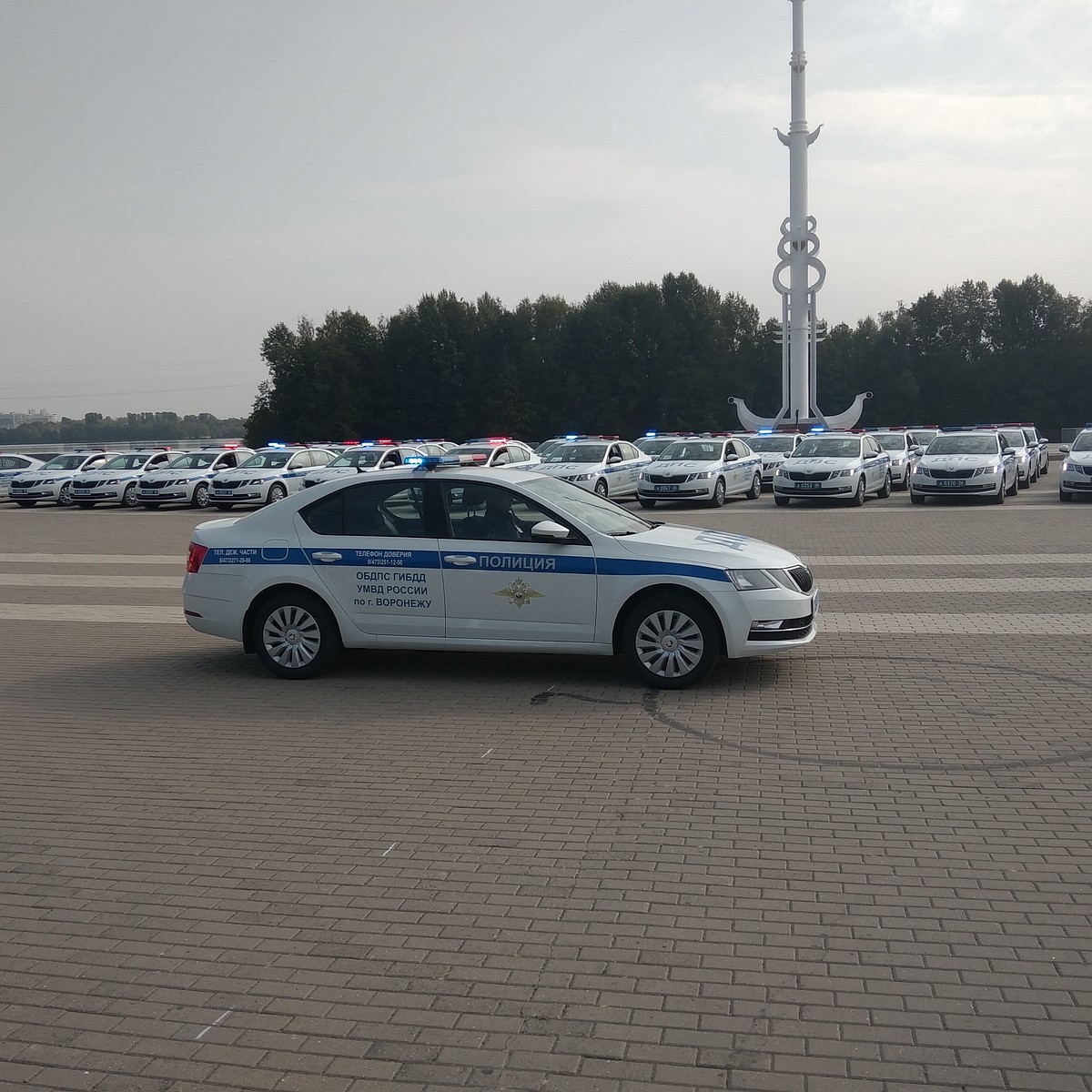 Воронежские сотрудники ГИБДД получили 58 автомобилей Skoda Octavia - KP.RU