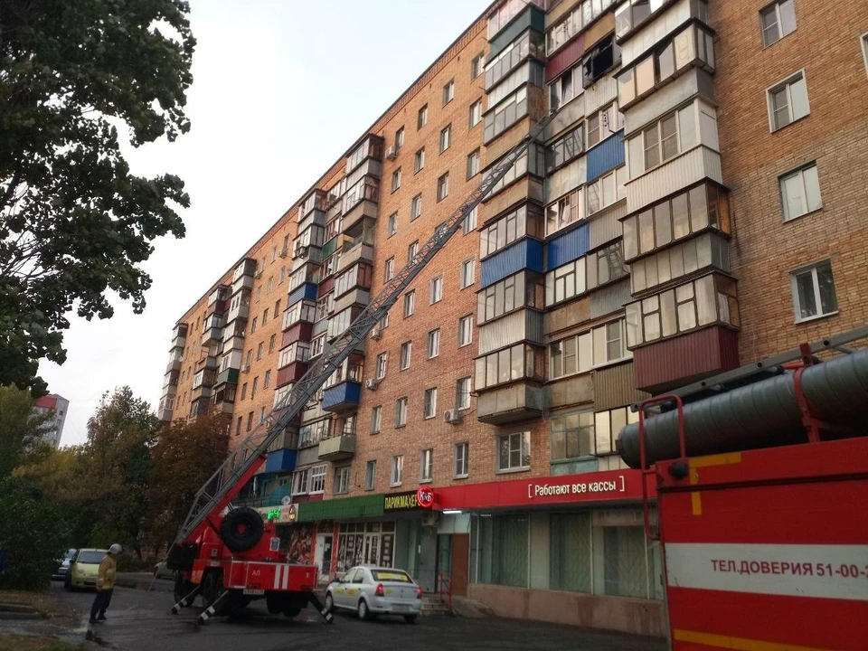 Женщину и ребенка пожарные вывели помощью «самоспасов»