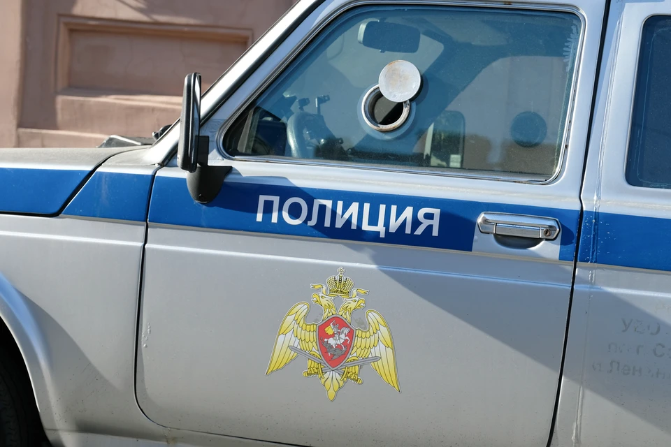 Полиция разыскивает двух подростков, сбежавших из психиатрической больницы в Петербурге