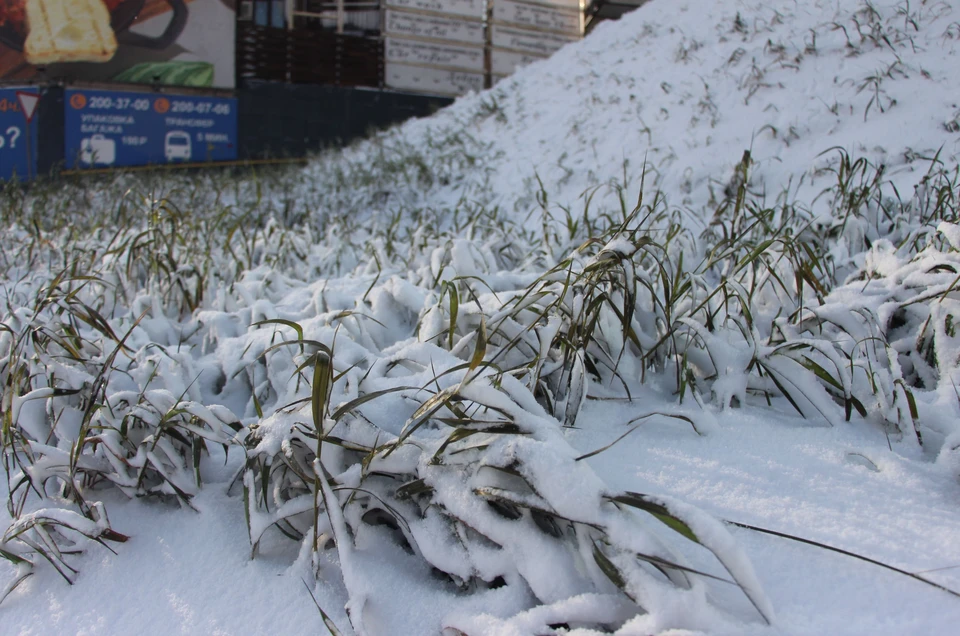 Синоптики прогнозируют снег в Приморье