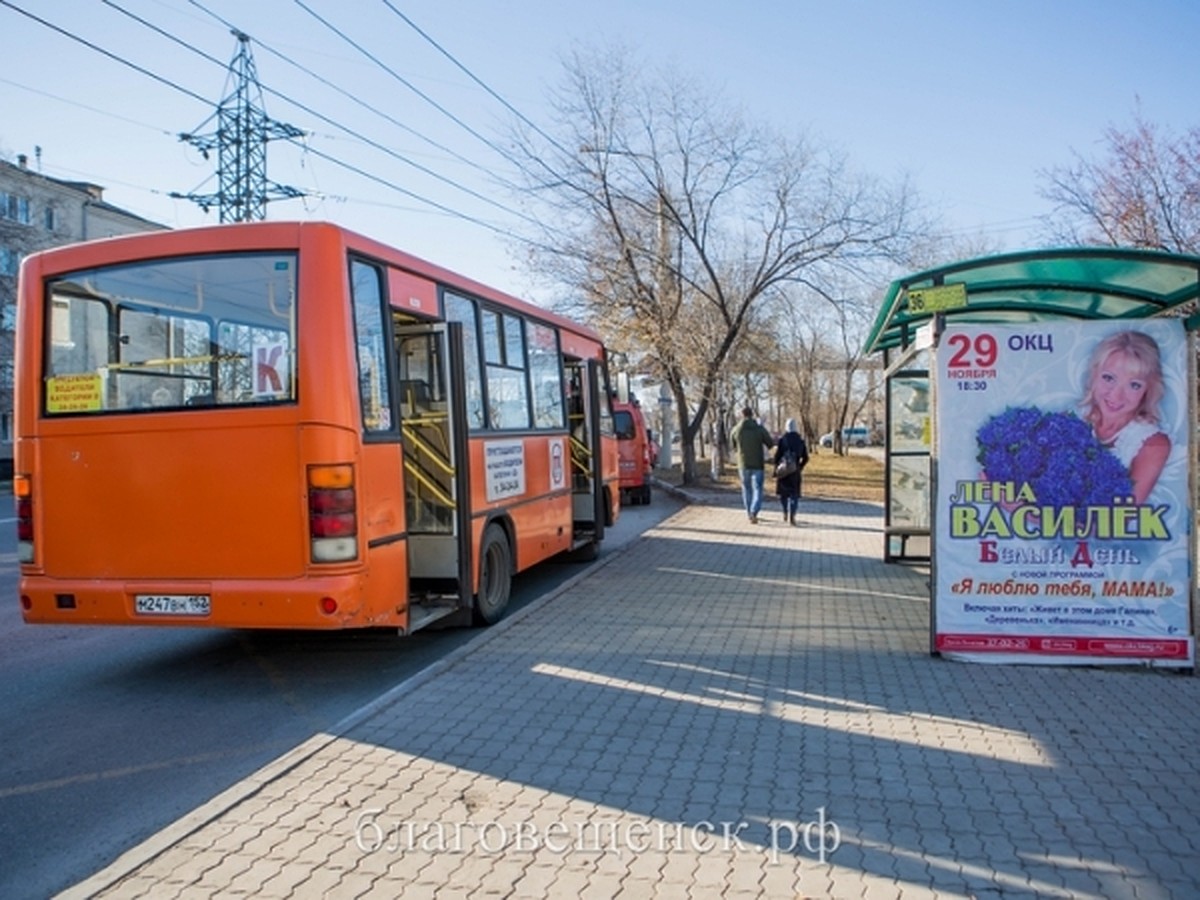 Маршрут автобуса №39 в Благовещенске временно изменят - KP.RU