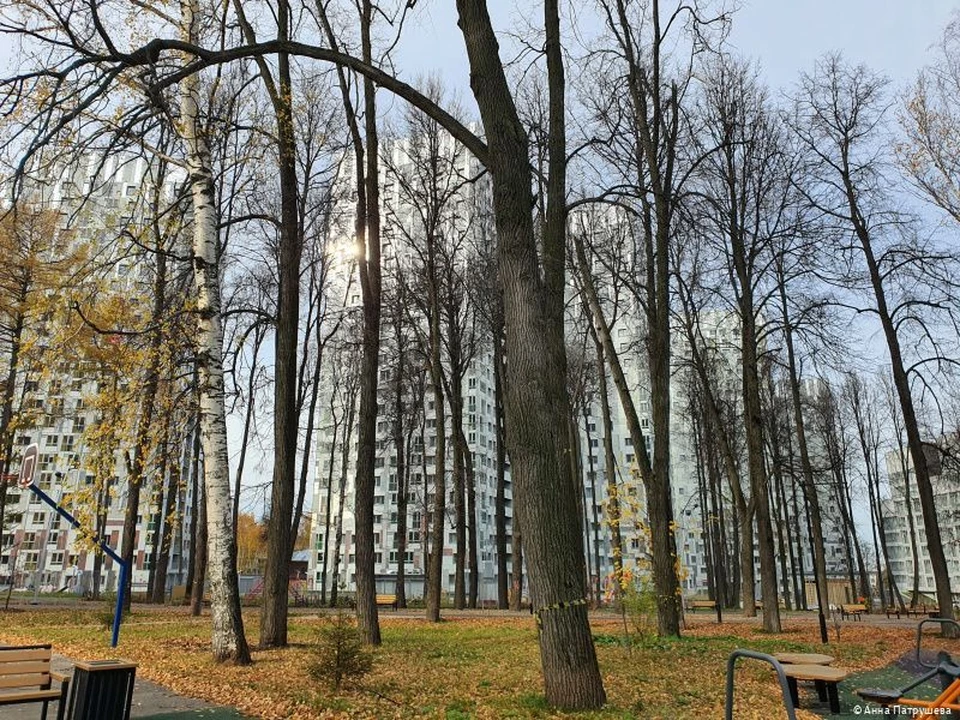 Парк проектировался по современным европейским канонам. Фото: ЖК «Гулливер»