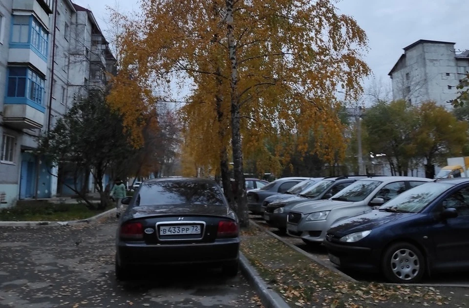 В Тюмени без осадков, тепло.