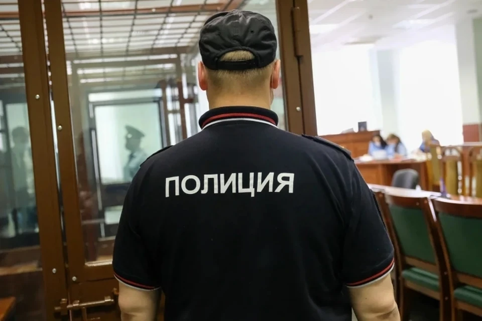 Суд отправил в СИЗО очередного расчленителя из Санкт-Петербурга.
