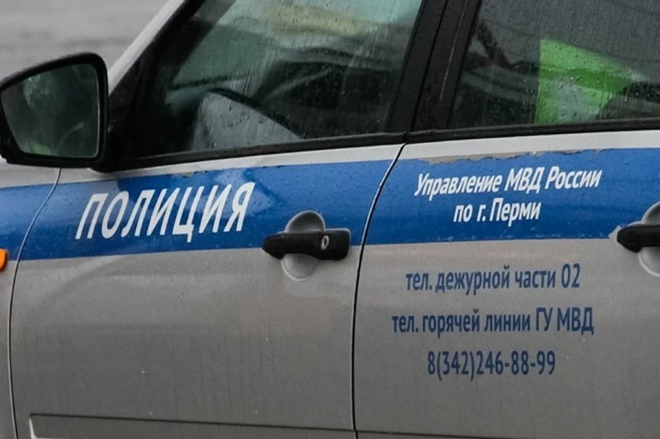 Полицейские вычислили и задержали преступников.