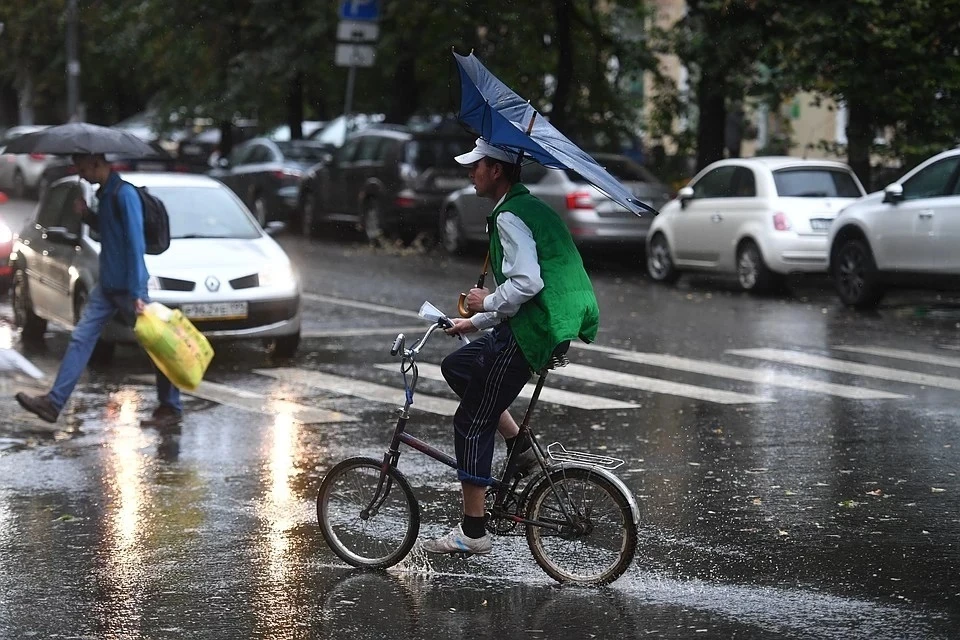 Жителей Московской области предупредили об ураганном ветре
