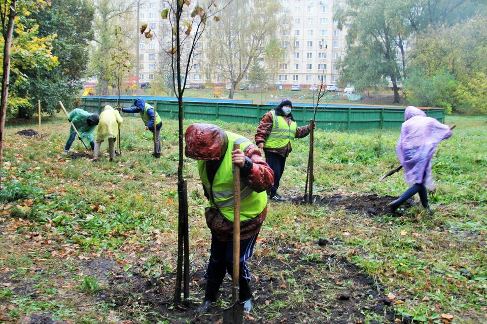 Фото: пресс-служба администрации Орла