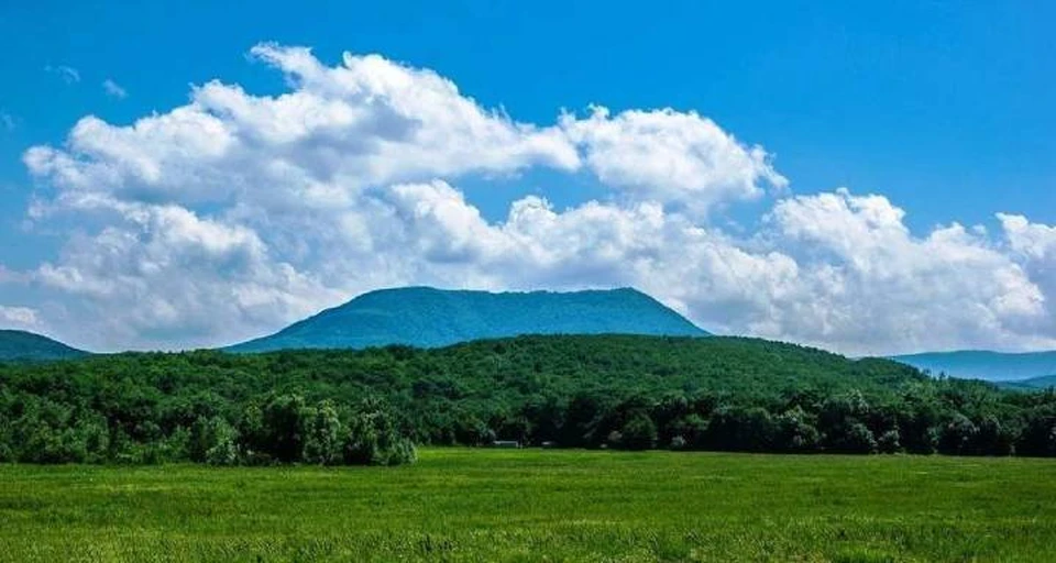 Фото администрации КК