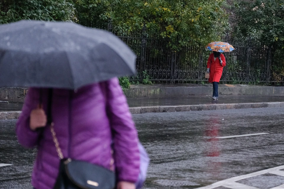 В Петербурге пройдет снег с дождем