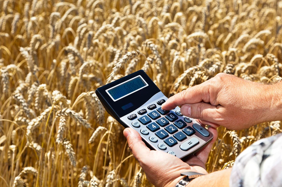 159 смоленских фермеров получили 560 млн рублей на поддержку хозяйств. Фото: администрация Смоленской области.
