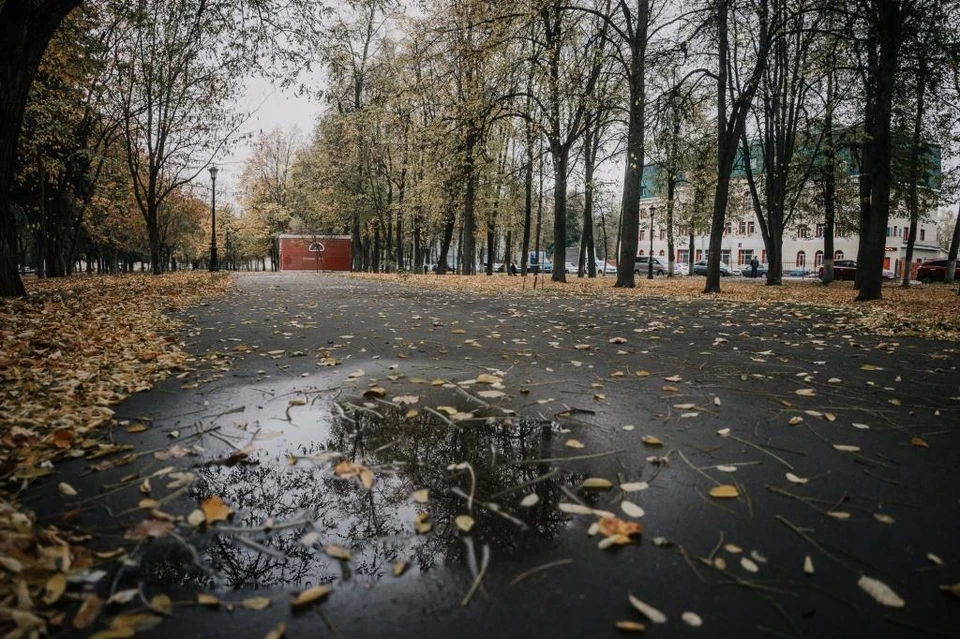 Погода в Орле: выходные будут дождливыми