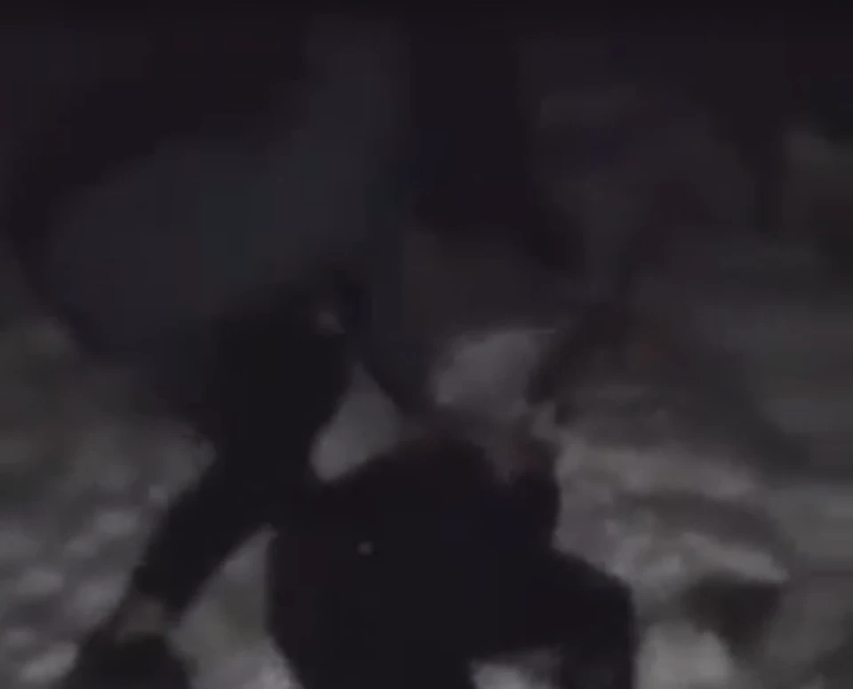 Фото - скрин с видео