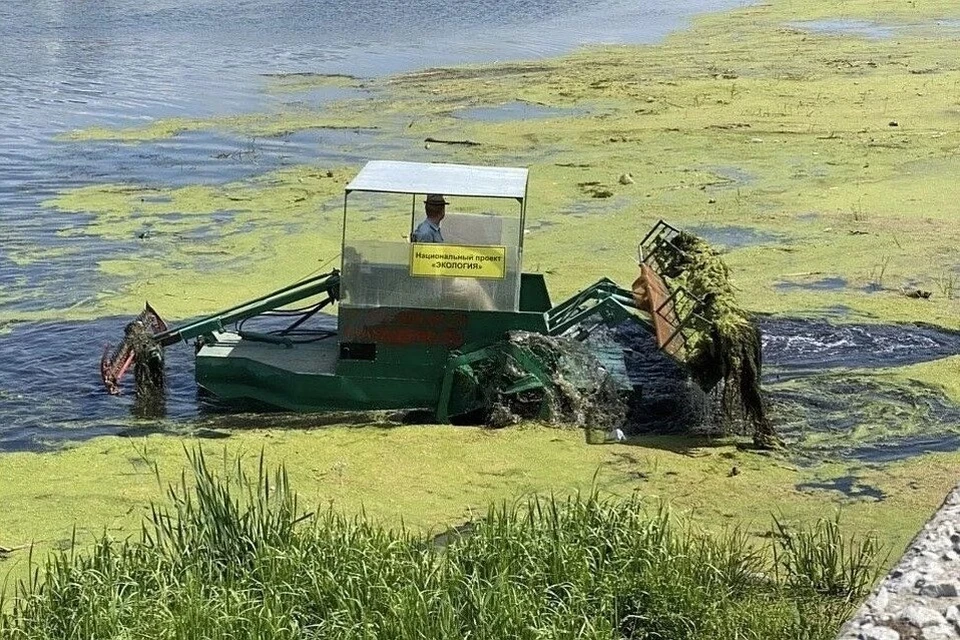 Для очистки реки использовалась спецтехника. Фото: t.me/Ecoche