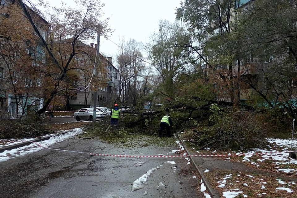 Ликвидация последствий мокрого снегопада продолжается в Хабаровске