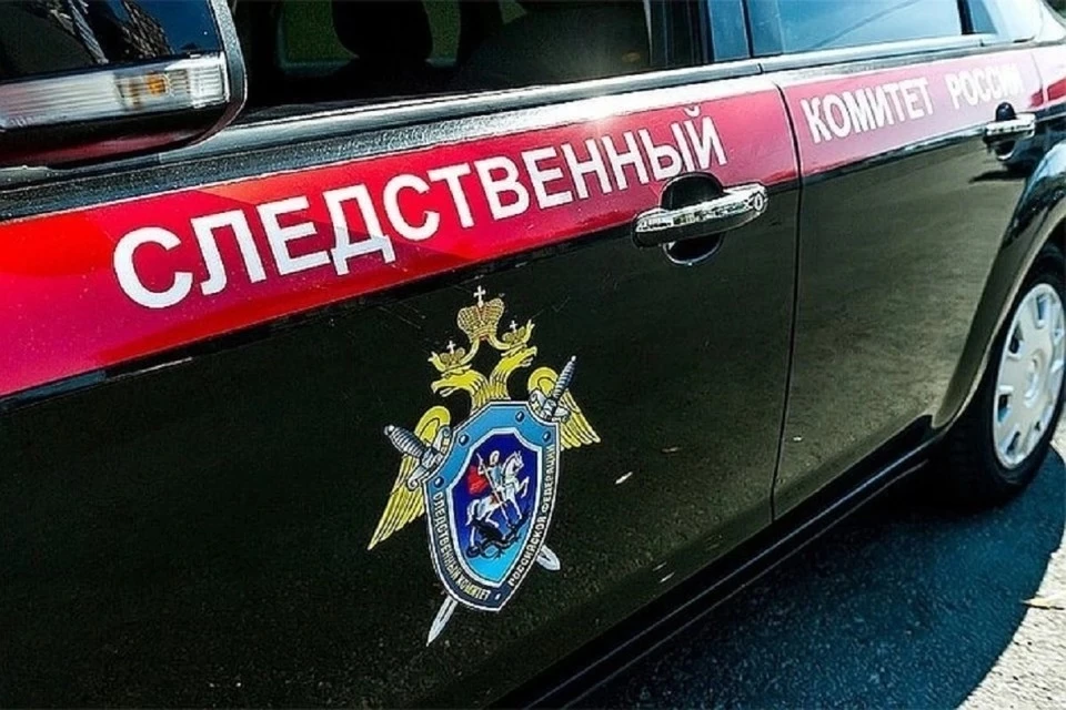 Сейчас сибирячка находится под стражей.