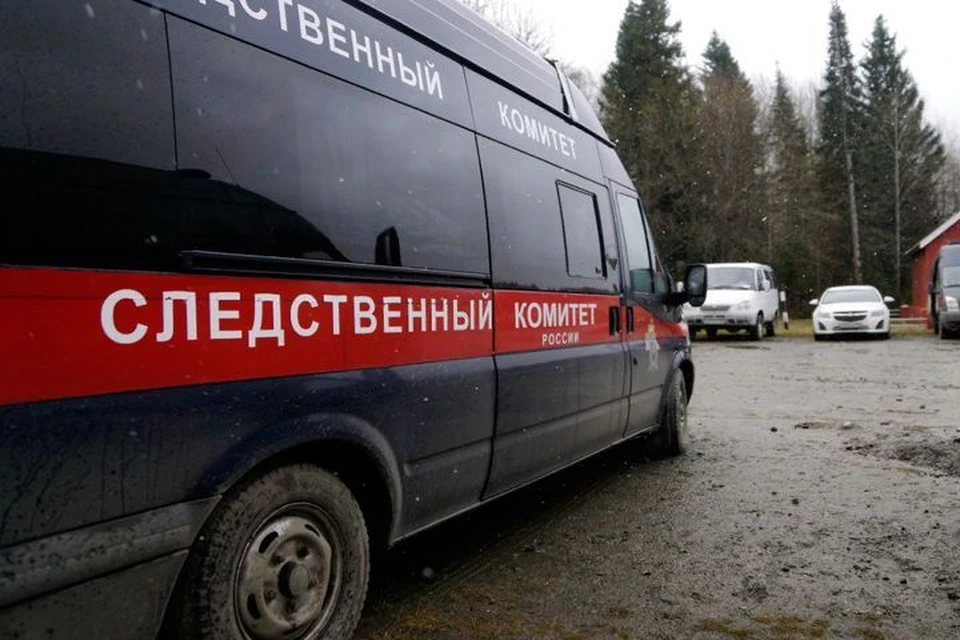 В СК по Новосибирской области расследуют гибель 10-летней девочки. Фото: архив КП