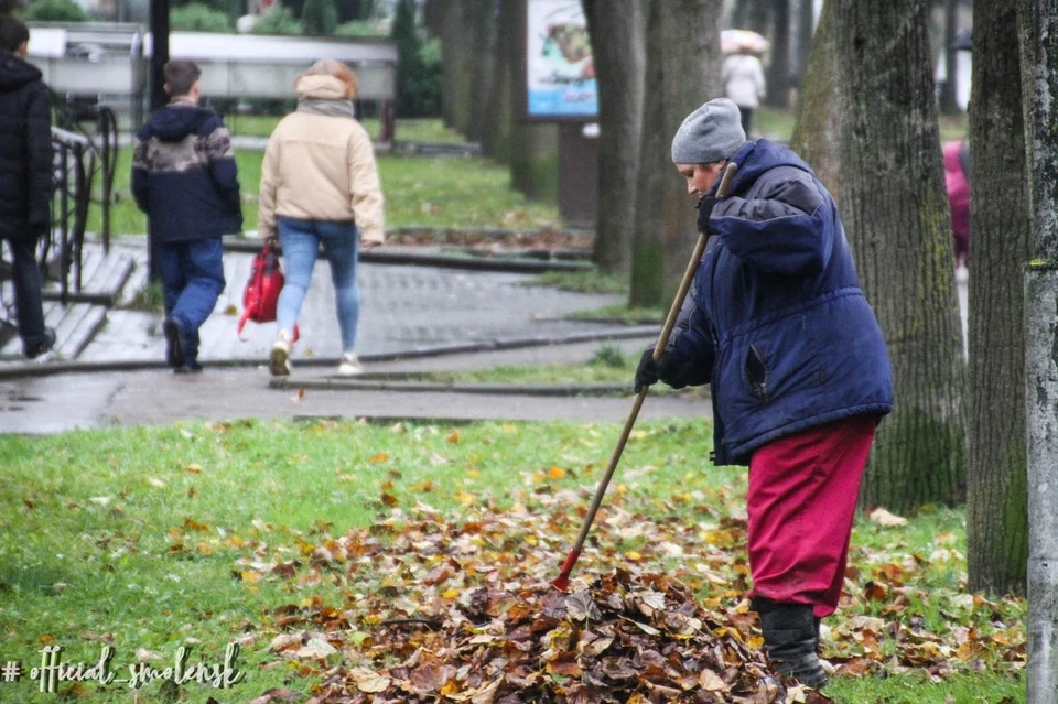 В Смоленске началась осенняя уборочная кампания. Фото: администорация г. Смоленска.