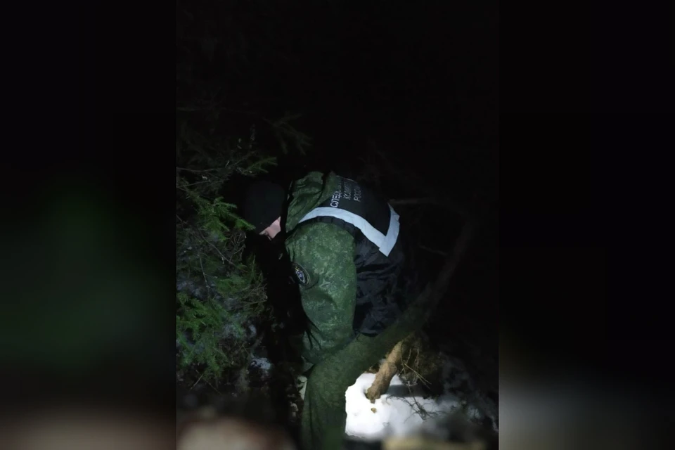 Страшную находку обнаружили в лесу в поселке Восточный. Фото: СУ СК РФ по Кировской области