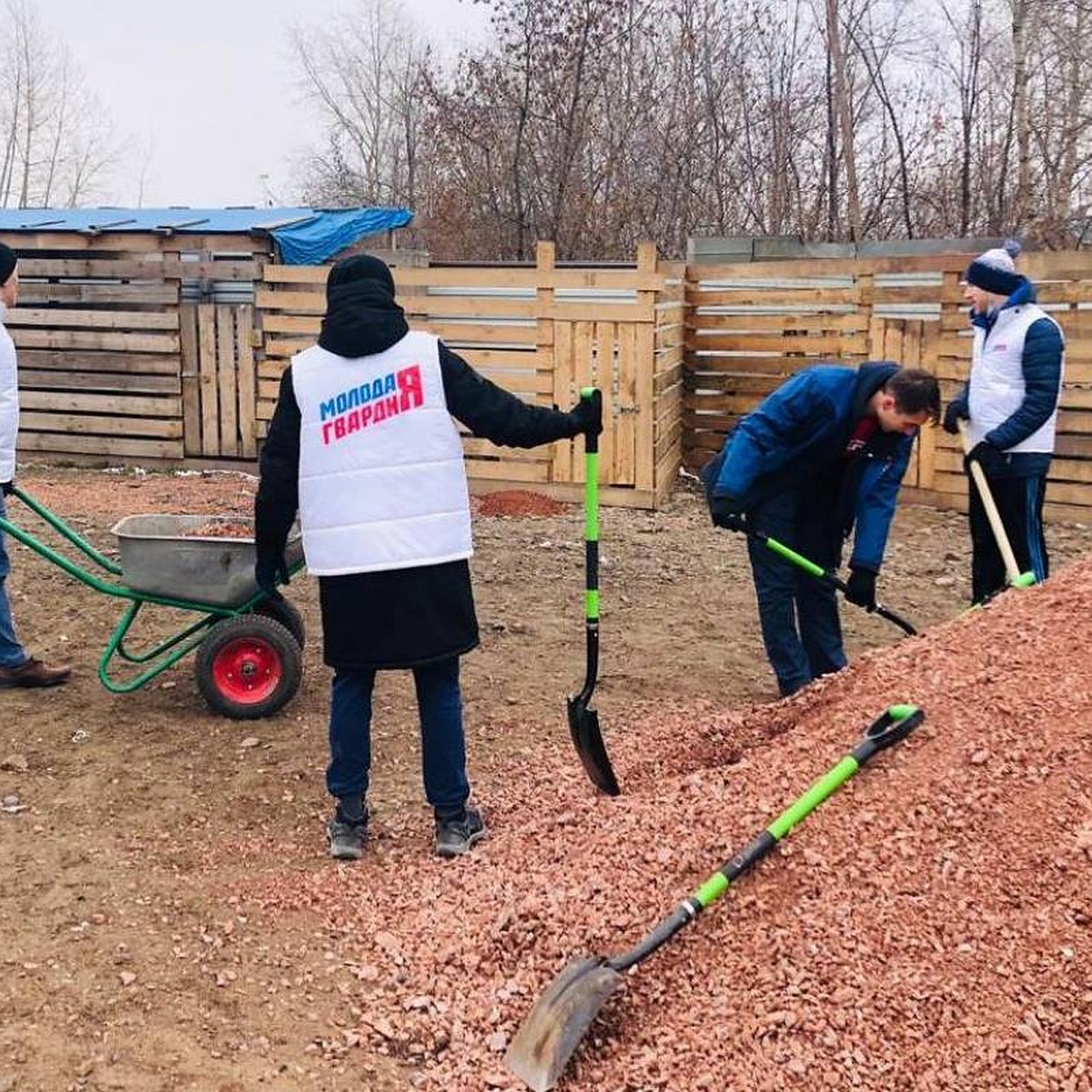 Единороссы и «Молодая гвардия» помогли приюту «Алькин дом» в подготовке к  зиме - KP.RU