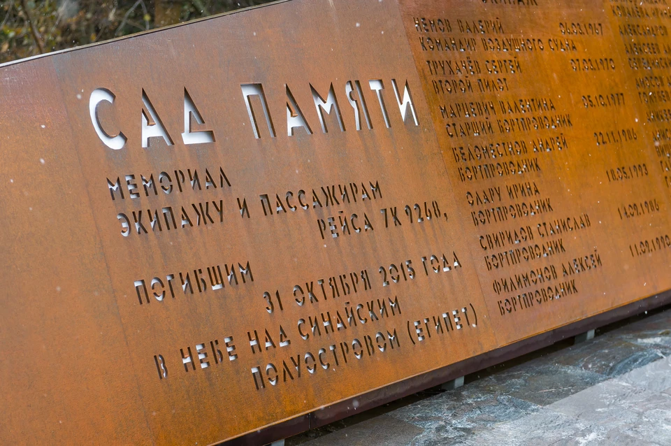 В "Саду памяти" прошел траурный митинг по погибшим на Синае.