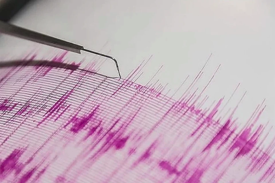Землетрясение произошло в 00:29 часов по местному времени