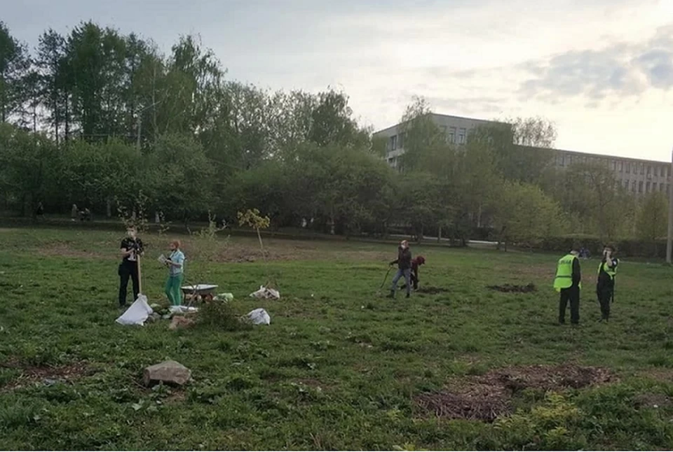 В мае активисты высадили в парке у УрГУПСа 50 деревьев вместо тех, которые вырубили ради строительства бассейна. Фото: Константин Киселев