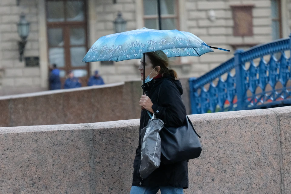 Погода в Санкт-Петербурге на 26 ноября