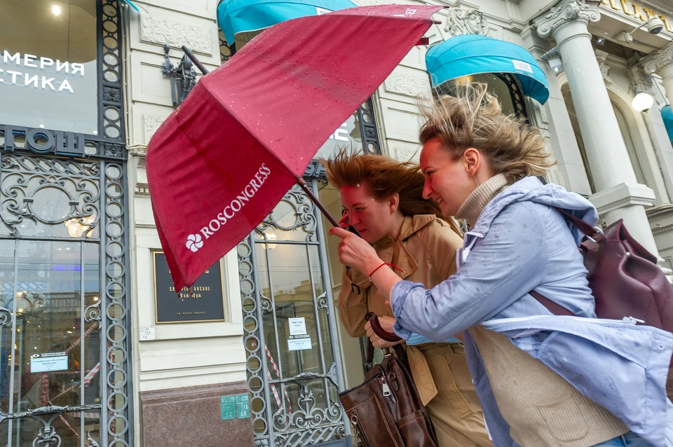 сильный ветер придет в Петербург 18 ноября.