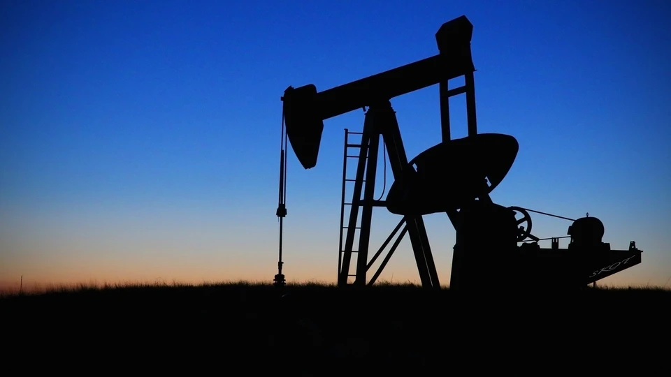 В Нефтеюганском районе произошло загрязнение земель нефтепродуктами Фото: pixabay.com