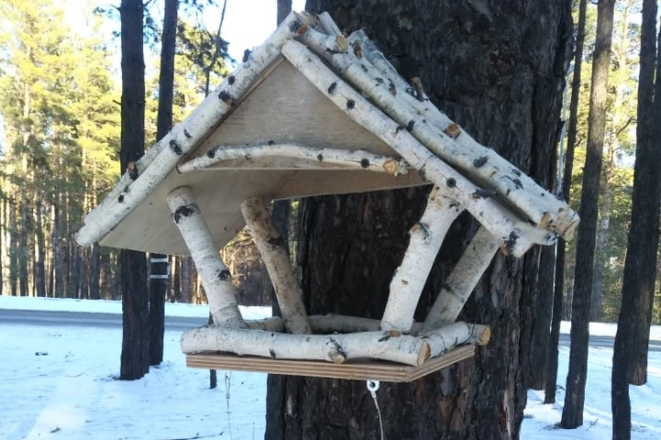 На «Трассе здоровья» появилась экзотичные домики для птиц