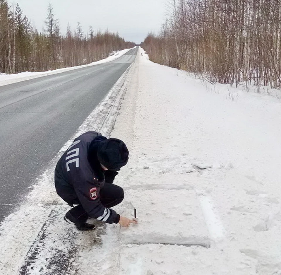 Фото: Госавтоинспекция Ямала, соцсеть "ВКонтакте"