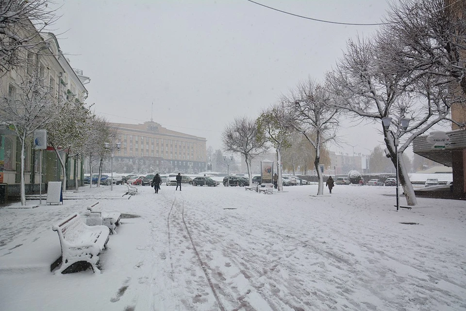 Фото: Вячеслав КОВАЛЕНКО