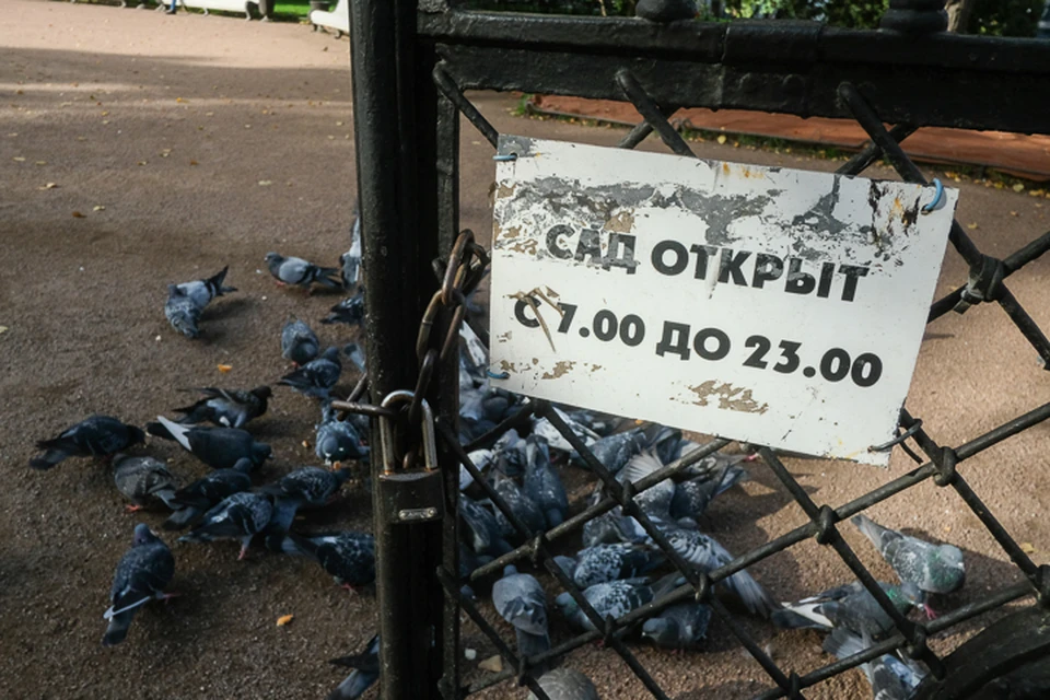Сады открыли для посещений
