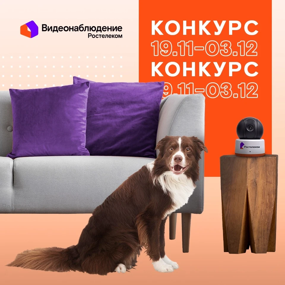 Участники с самыми забавными видео и фото своих домашних питомцев получат шанс выиграть Full HD камеры для организации видеонаблюдения.