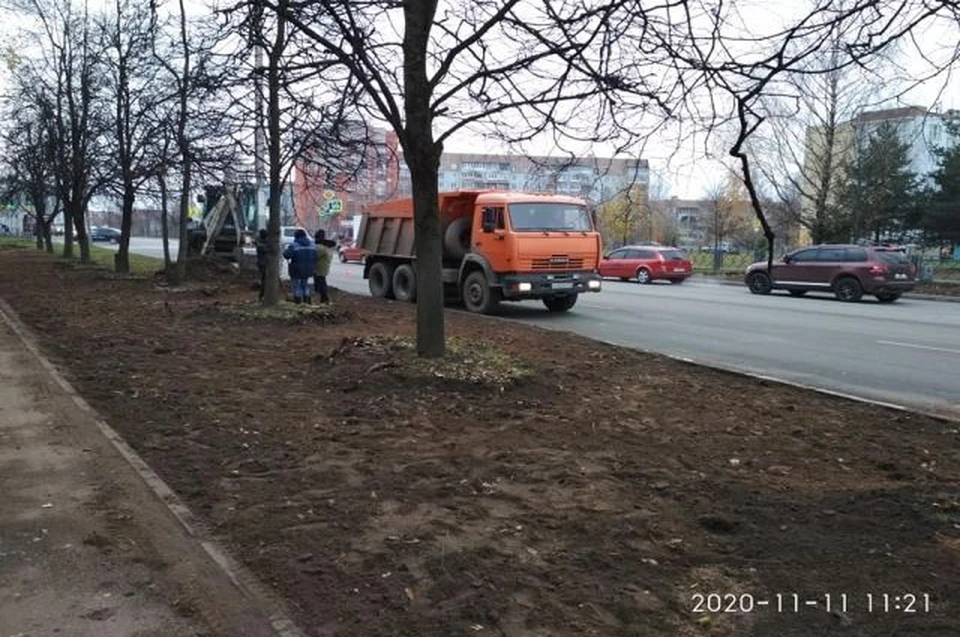 Фото: Псковская правда