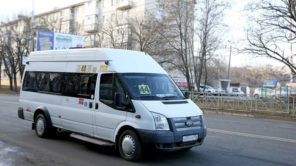 Фото: пресс-служба администрации Ставрополя