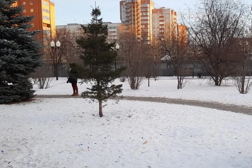 Снежная тюмень