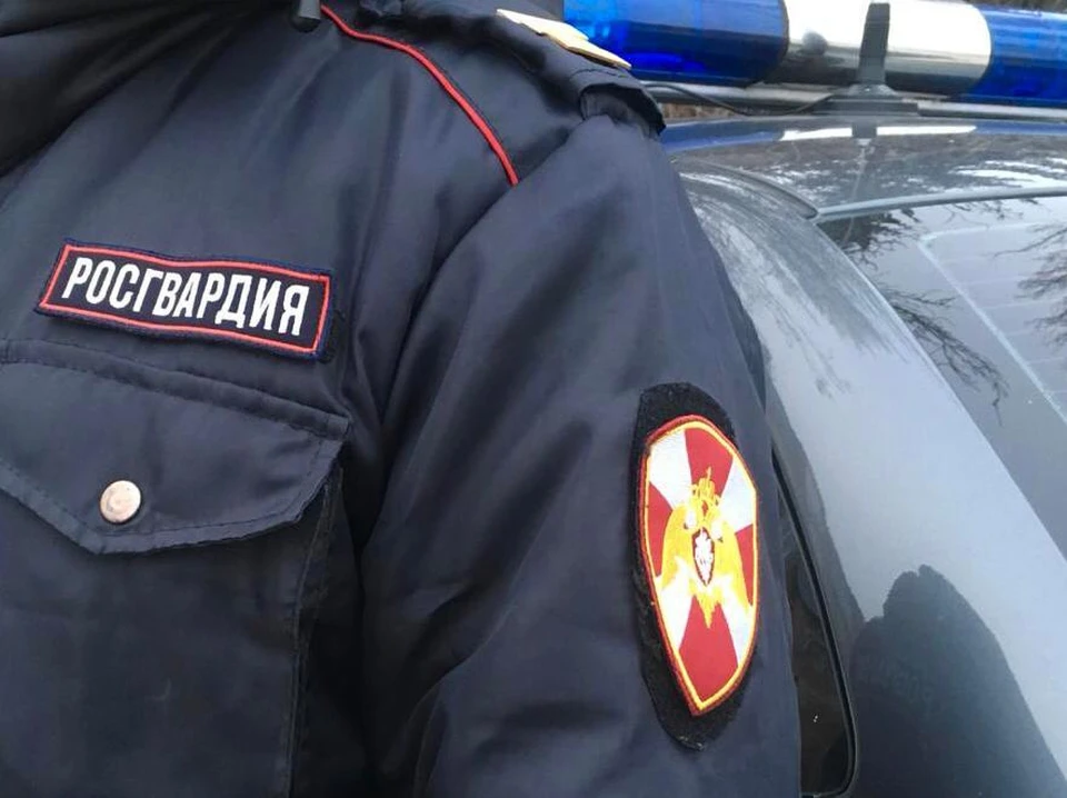 Задержать хулигана удалось по горячим следам. Фото: пресс-служба Росгвардии