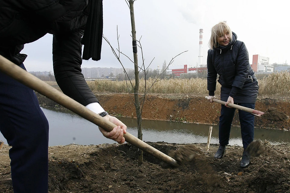 Замруководителя Росводресурсов Наталия Сологуб посадила дерево на берегу Темерника