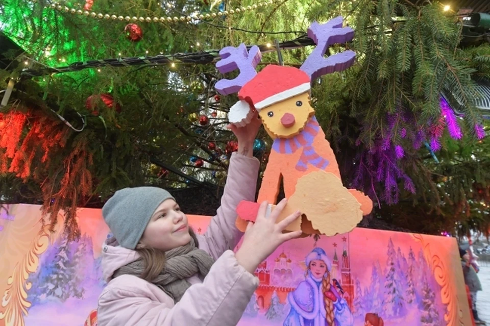 Новый год для детей в Хабаровске 2020-2021: будут ли елки и утренники во время пандемии