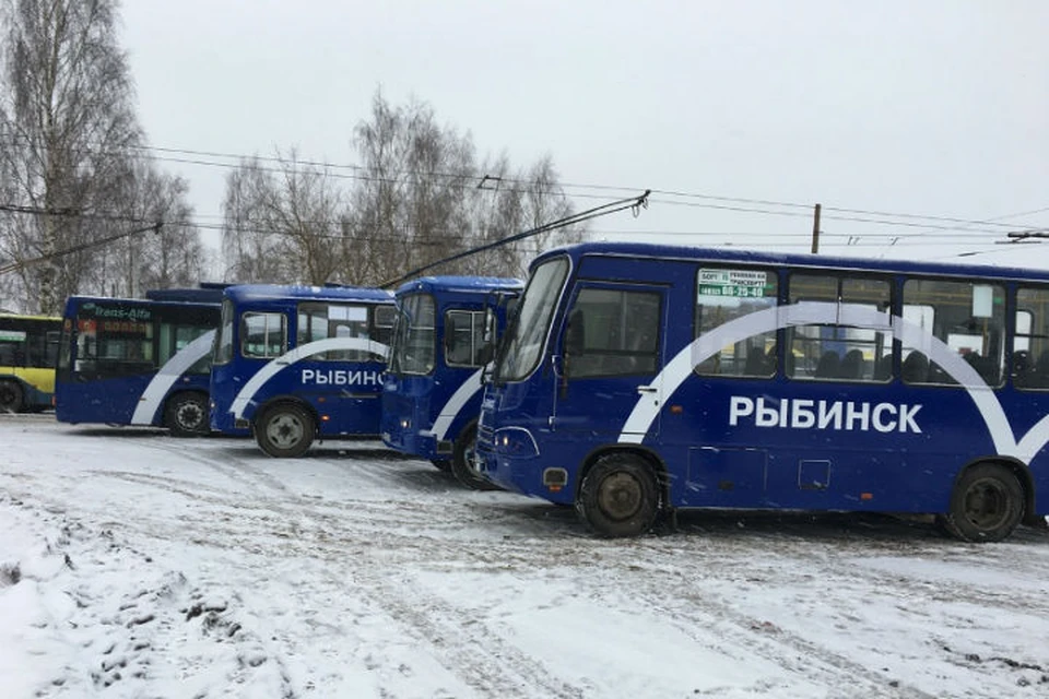 На городские маршруты в Рыбинске вышли еще пять брендированных единиц техники
