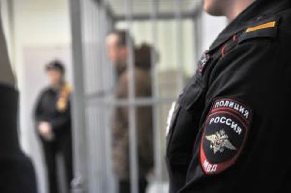 Мужчине грозит до пяти лет колонии