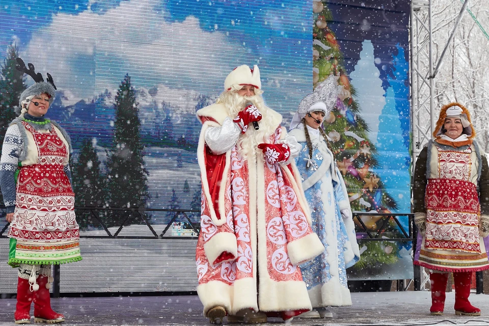 Новогодний переполох. Рождественский парк. Фотовыставка новогодний переполох. Новогодний переполох 1-4 классов.